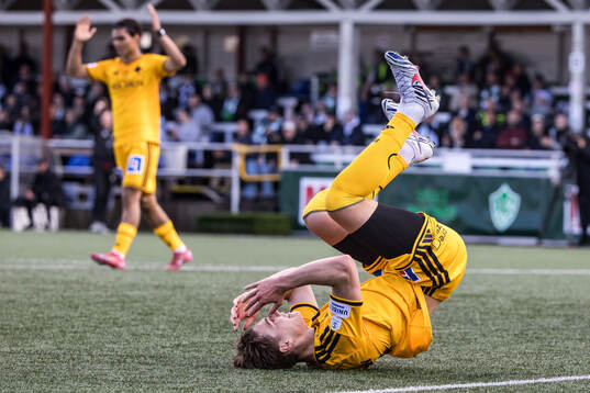 IFK Norrköpings Albert Aleksanjan