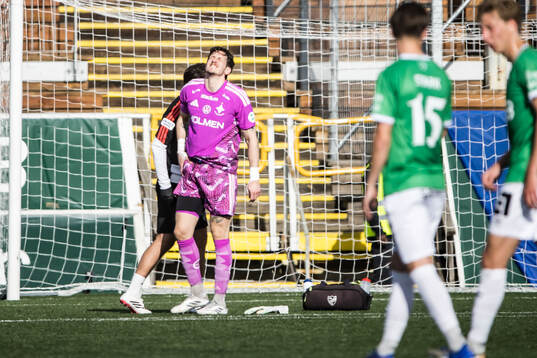 IFK Norrköpings målvakt David Mitov Nilsson
