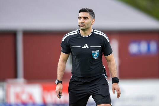 Domare George Jansizian