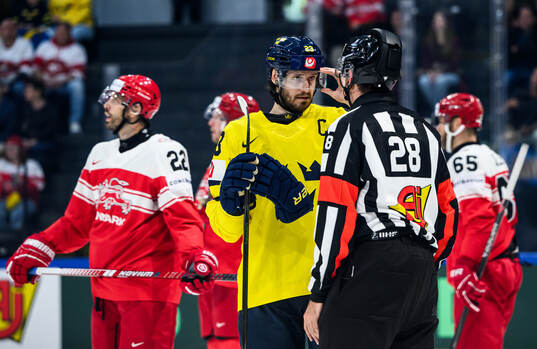 Oliver Ekman-Larsson of Sweden in a discussion with a
