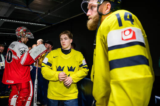 Viggo Björck and Mattias Ekholm of Sweden