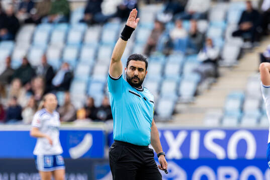 Domare Paul Shamoun