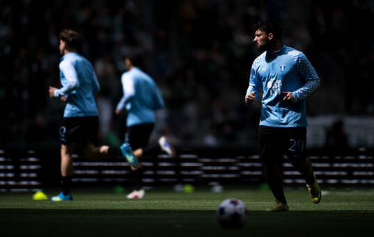 Malmö FFs Sead Haksabanovic