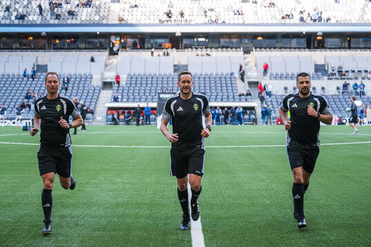 Assisterande domare Mikael Hallin, Domare Victor Wolf och