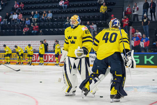 Goaltender Magnus Hellberg and goaltender Arvid Söderblom