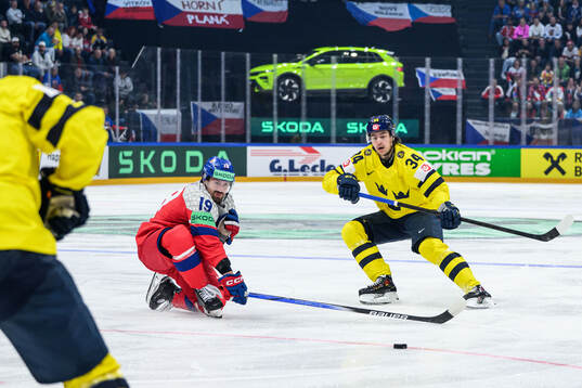 Jakub Flek of Czech Republic and Albert Johansson of Sweden
