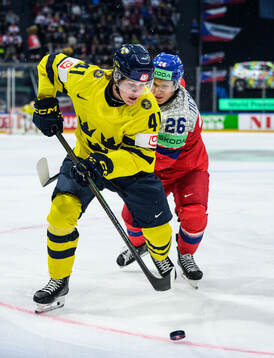 Ivar Stenberg of Sweden and Jiri Tichacek of Czech Republic