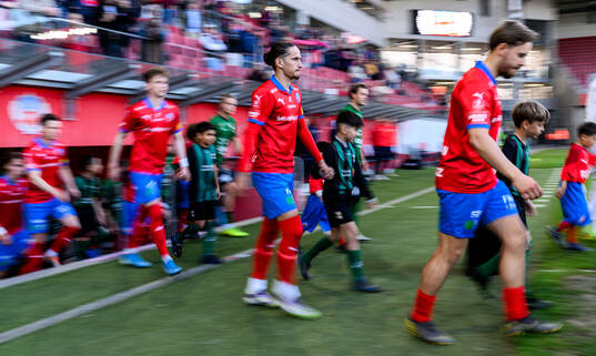 Helsingborgs Ervin Gigovic