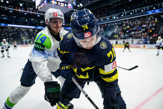 Aljosa Crnovic of Slovenia and Rasmus Asplund of Sweden