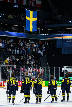 Players of Sweden