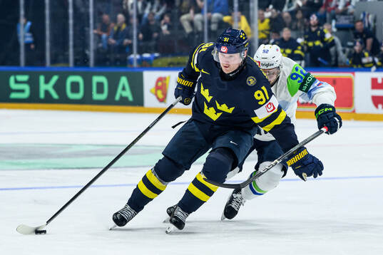 Carl Grundström of Sweden and Anze Kuralt of Slovenia