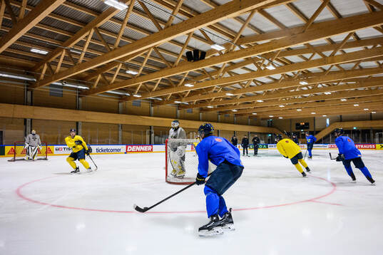 Ivar Stenberg, Jack Berglund and goaltender Love Härenstam