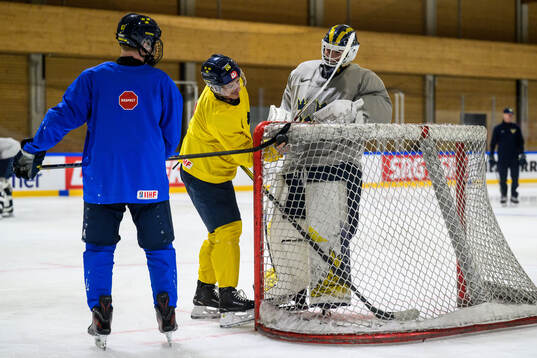André Petersson, goaltender Love Härenstam and Viggo