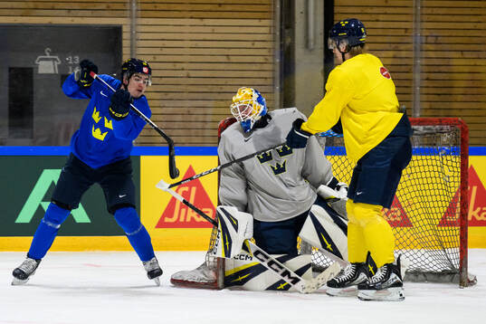 Anton Frondell and goaltender Magnus Hellberg of Sweden at