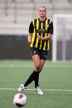 Häckens Amilia Aurelius