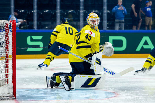 Goaltender Arvid Söderblom of Sweden