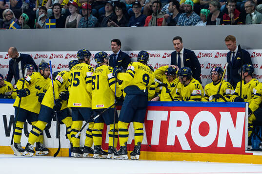 Head coach Sam Hallam of Sweden