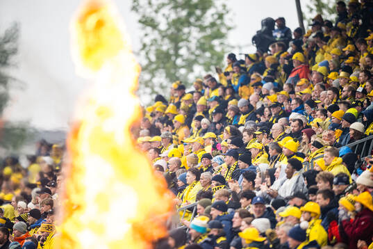 Spectators in the stands