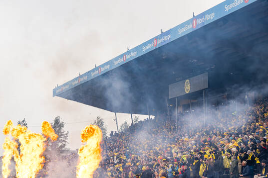 Spectators in the stands