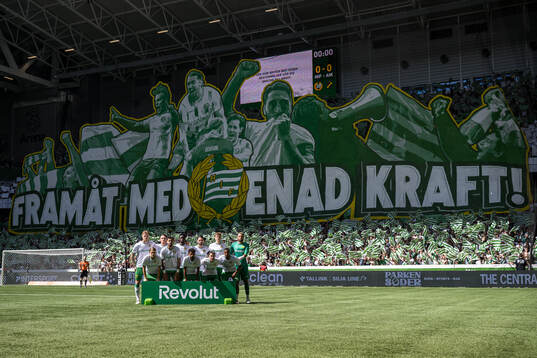 Hammarbys startelva