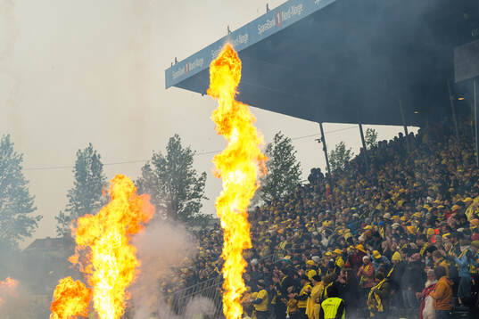 Spectators in the stands