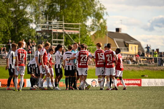 Landskronas och Sandvikens spelare