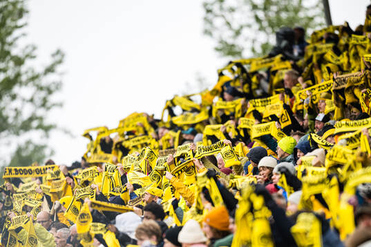 Spectators in the stands