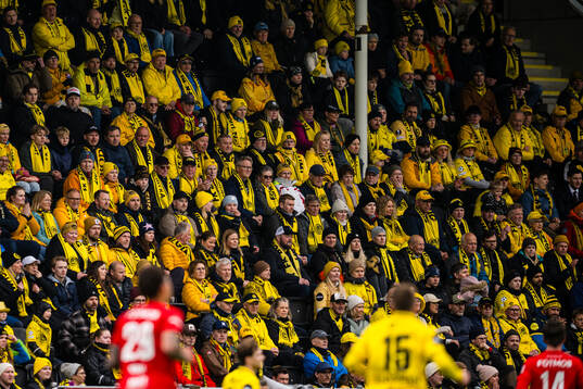Spectators in the stands