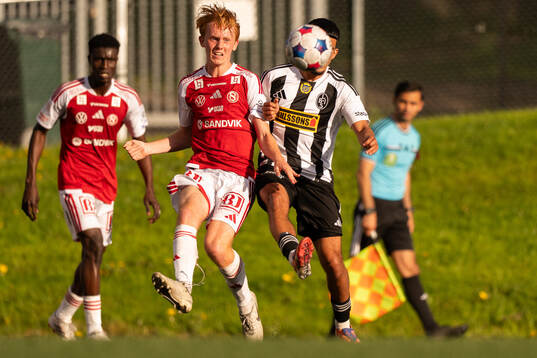 Sandvikens Fabian Andersson