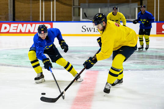 Albert Johansson and Jacob Larsson of Sweden at a practice