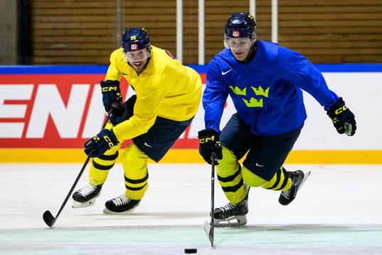 Jacob De La Rose and Ivar Stenberg of Sweden at a practice