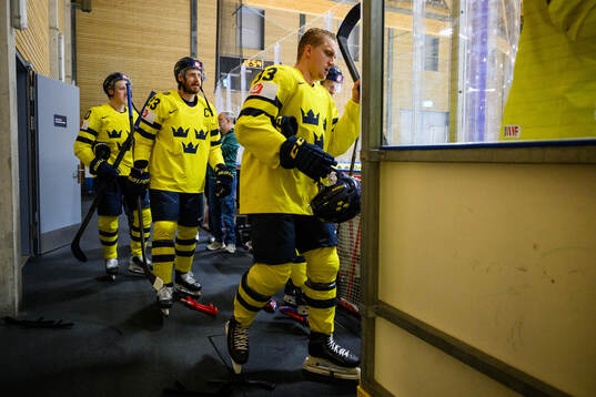 Simon Holmström, Oliver Ekman-Larsson and Jakob