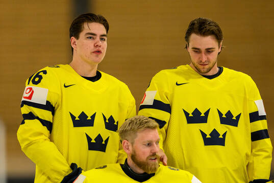 Anton Frondell and Linus Karlsson of Sweden at a team photo
