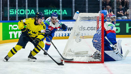 Ivar Stenberg of Sweden and Frantisek Gajdos of Slovakia