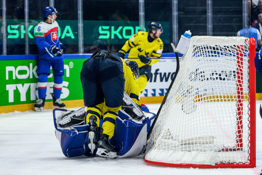 Ivar Stenberg of Sweden and goaltender Samuel Hlavaj of