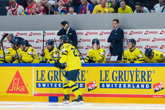 Head coach Sam Hallam of Sweden