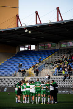 Hammarbys spelare