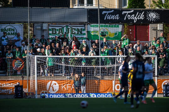 Hammarbys supportrar