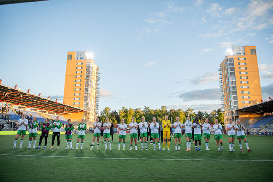 Hammarbys spelar jublar