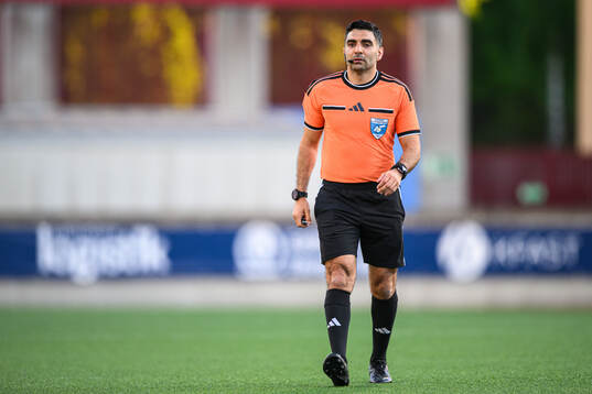 Domare George Jansizian