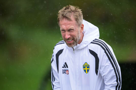 Head coach Graham Potter of the Swedish national football