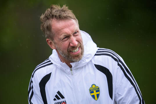 Head coach Graham Potter of the Swedish national football