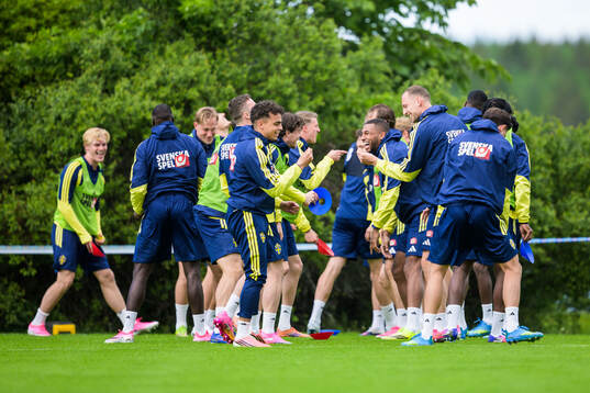 Players of the Swedish national football team at a training