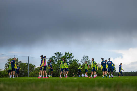 Players of the Swedish national football team at a training