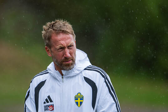 Head coach Graham Potter of the Swedish national football