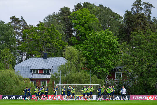 Players of the Swedish national football team at a training