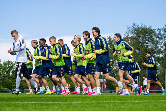 Players of the Swedish national football team at a training