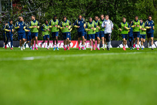 Players of the Swedish national football team at a training