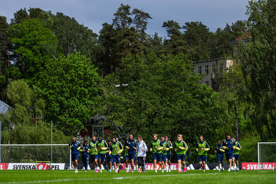 Players of the Swedish national football team at a training