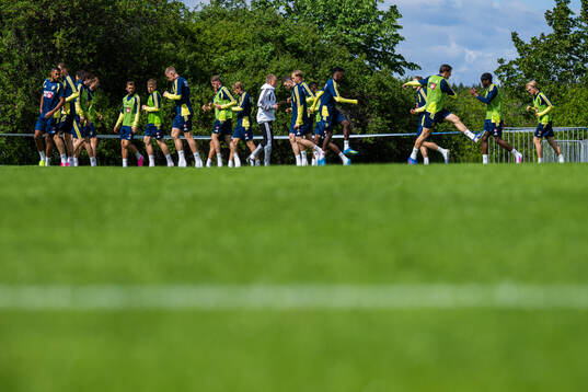 Players of the Swedish national football team at a training